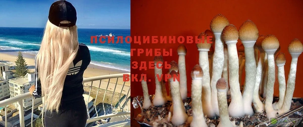 ГАЛЛЮЦИНОГЕННЫЕ ГРИБЫ Горнозаводск