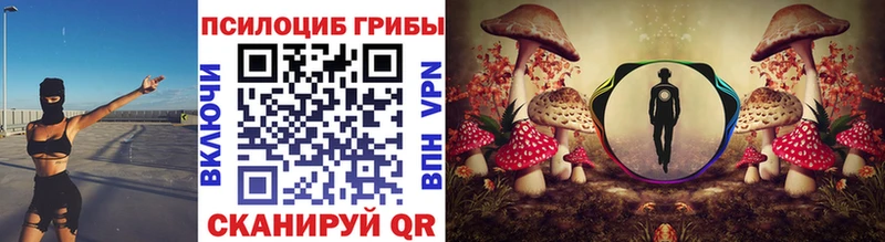 Псилоцибиновые грибы GOLDEN TEACHER  Купить закладки  Южно-Сухокумск 
